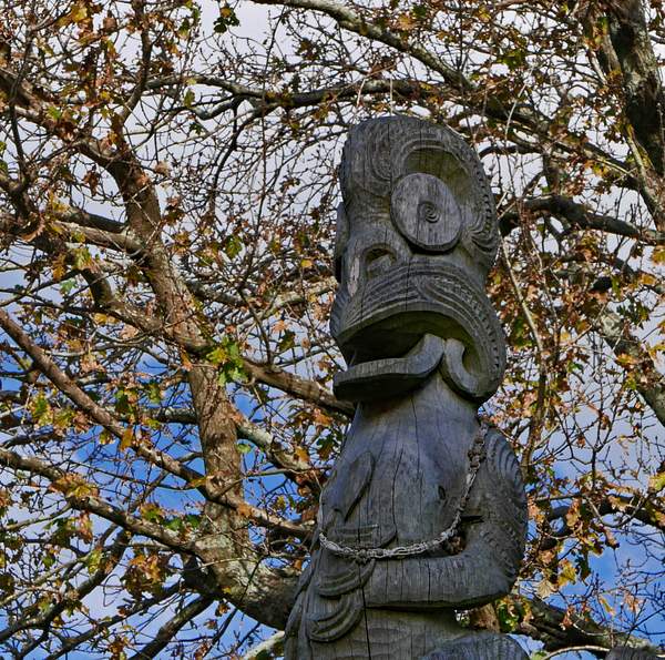 Maori totem. by Tony Polglase