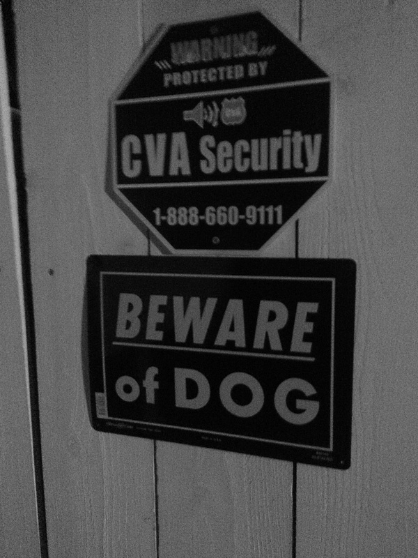 beware of dog black and white