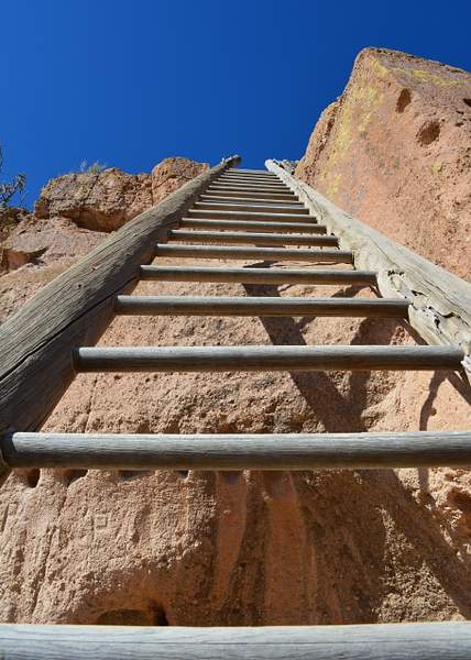 Ladder to the sky by Heather Liolios