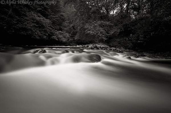 Brecon Rush by Alpha Whiskey Photography