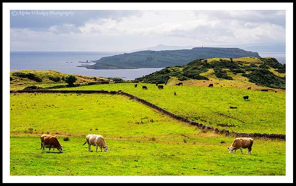 Isle Of Cumbrae by Alpha Whiskey Photography