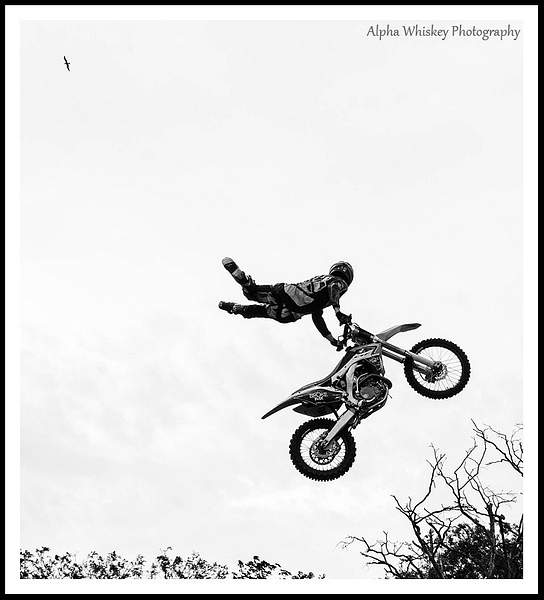 Stunt Display by Alpha Whiskey Photography