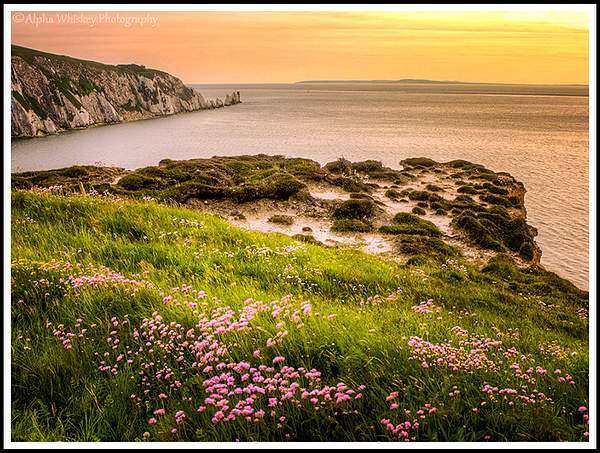 Isle Of Wight by Alpha Whiskey Photography