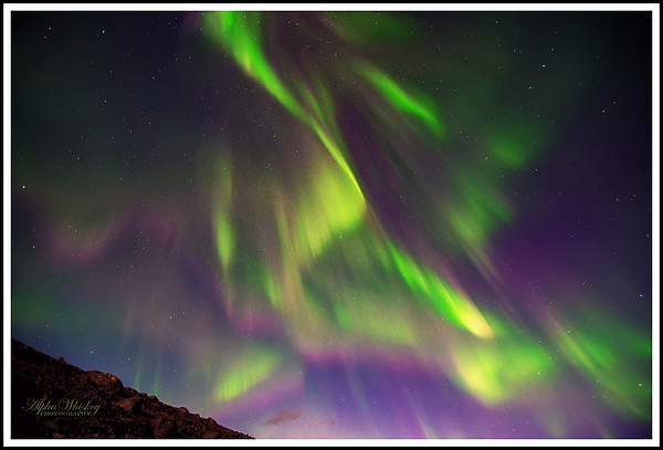 Auroras by Alpha Whiskey Photography