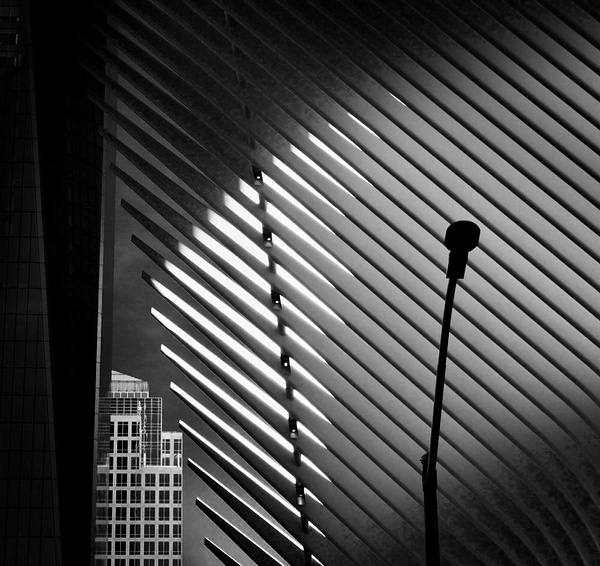 Calatrava's Dream - Achromatica - GIGI CHUNG PHOTOGRAPHY 