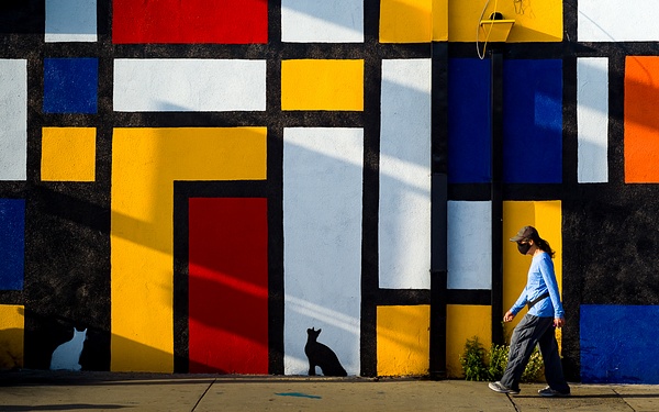 Mondrian Wall - California Fantasy - GIGI CHUNG PHOTOGRAPHY 