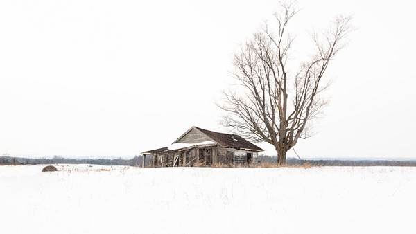 Lost in Time Winter Homestead - Abandoned Series - Dee Potter Photography 