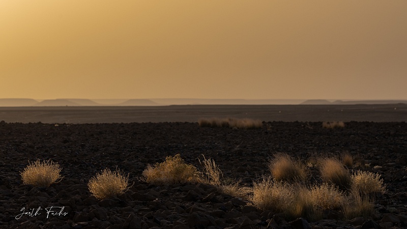 yemeni desert sunset-1