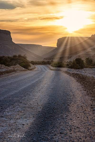 sand Road with sunset in the Yemen Desert-1 by Garth...