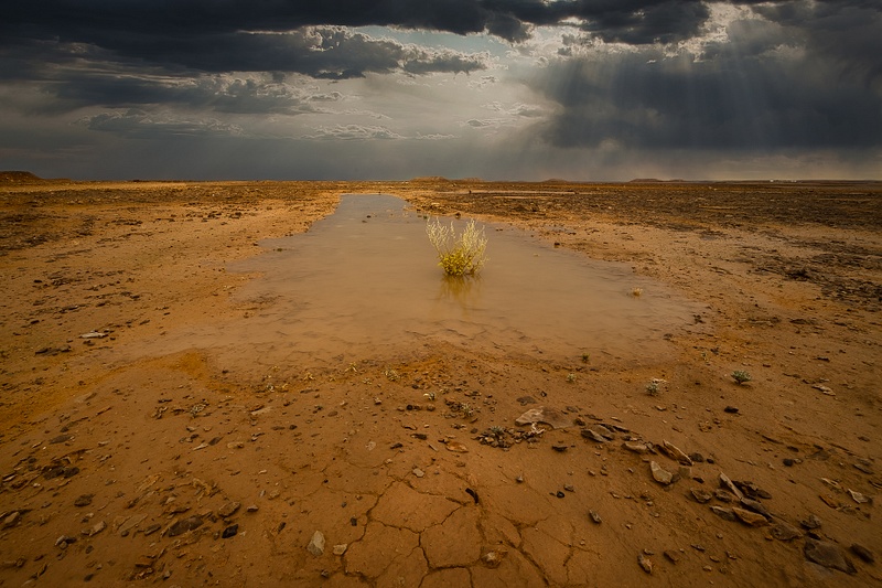 Desert Rain in Yemen