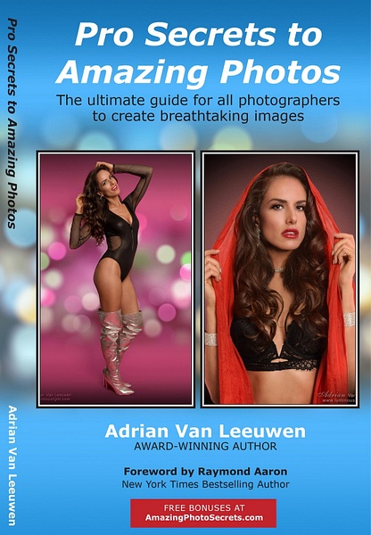 Book-Cover-Pro-Secrets - Graphic Design by 5 Star Studio at Luminous Light Photo and Design
