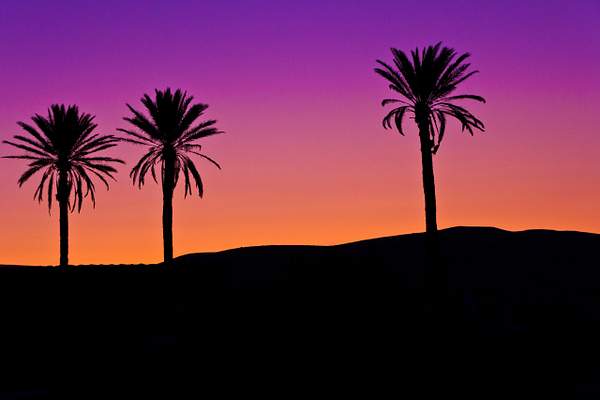 Sunset in the Judean Desert I by Brad Balfour