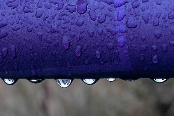 Purple Rain by Brad Balfour