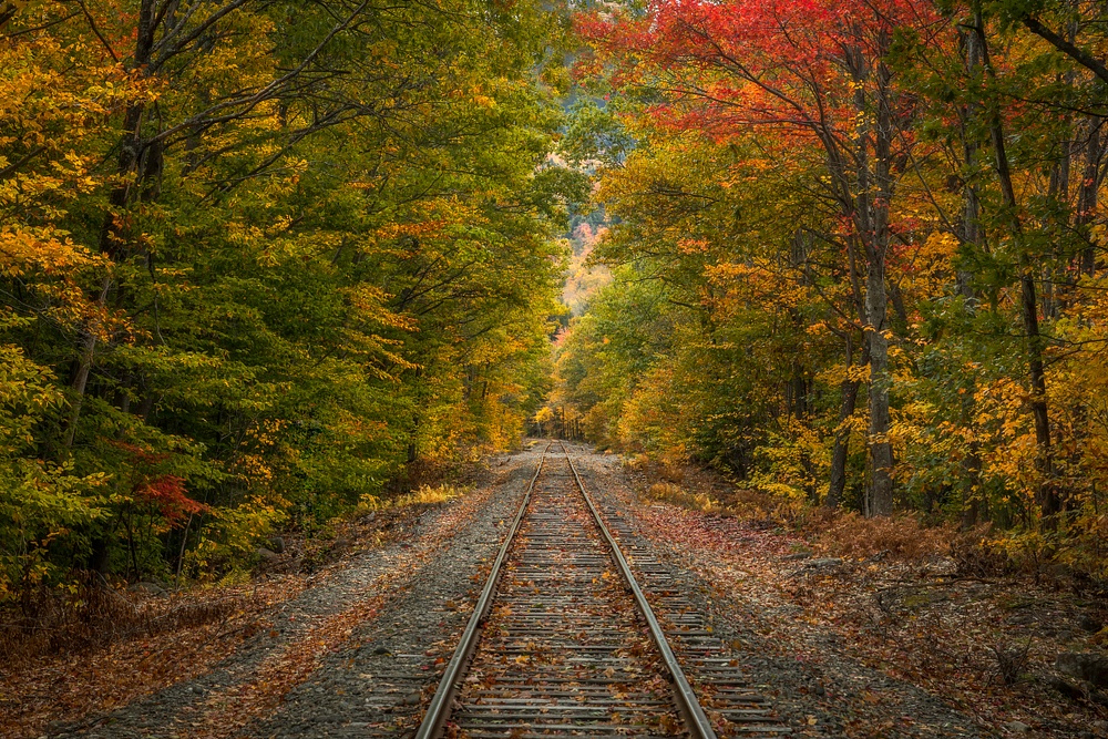 NH Railroad Tracks