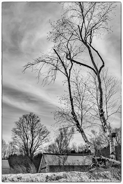 Winter cold_tash - Landscapes - MJ Tash Photography  