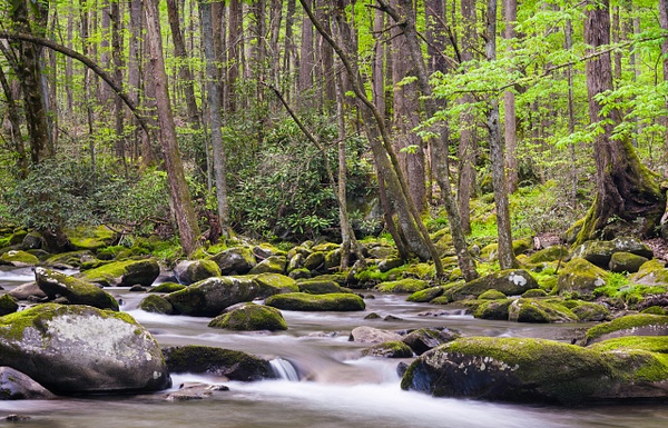 Great Smoky Mountains, Moving Water I - Great Smoky Mountains National Park, Tennessee - Jack Kleinman 