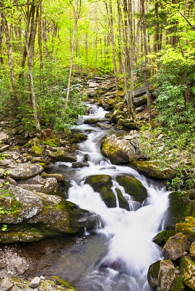 Great Smoky Mountains, Hard-Hearted Cataract - Great Smoky Mountains National Park, Tennessee - Jack Kleinman