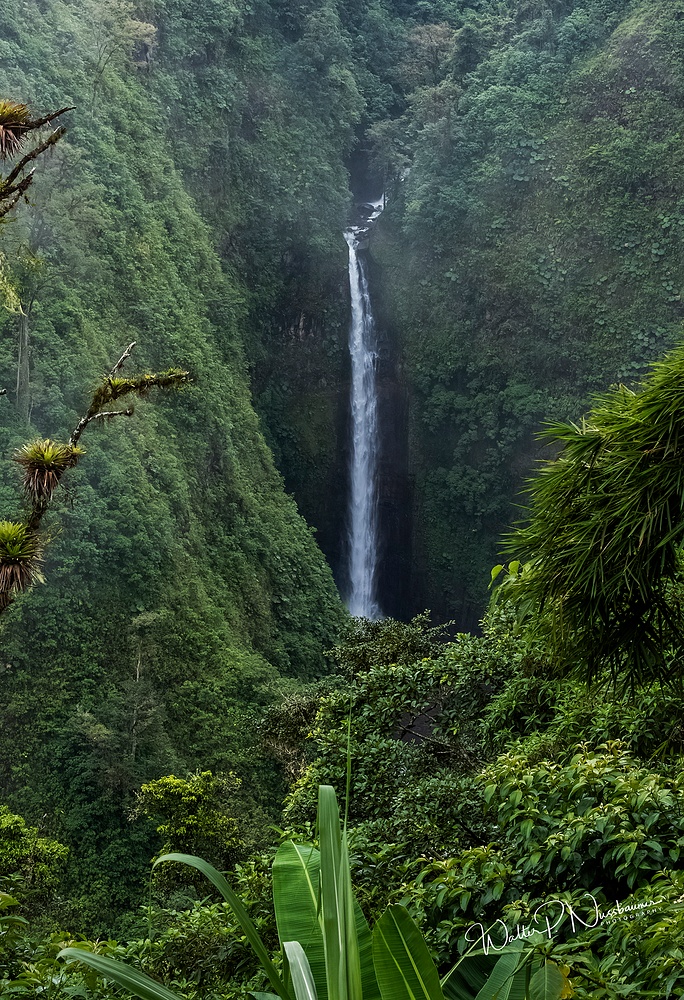 Waterfall_Costa Rica_DSC2602(B)
