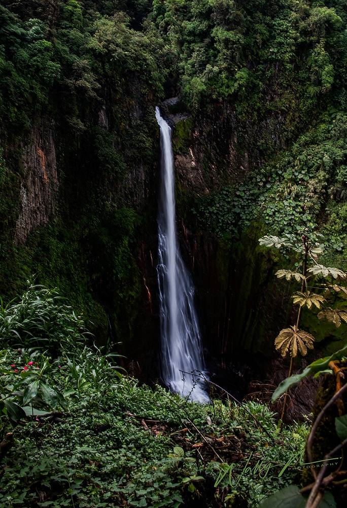 Catarata del Toro_Waterfall_C_DSC3803