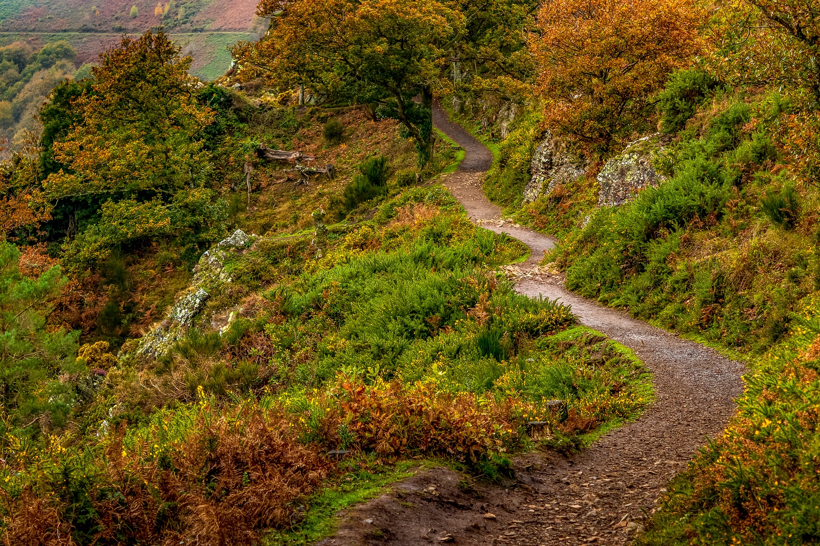 Dartmoor autumn hike