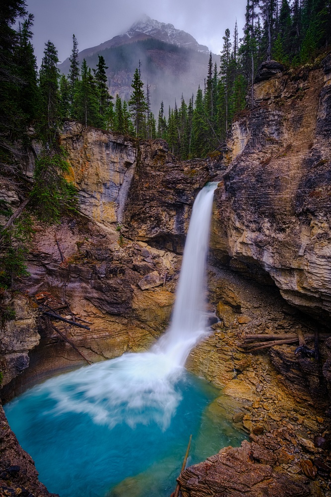 Beauty Creek Falls-Icefields Parkway, Banff National Park, Alberta, Canada - 1