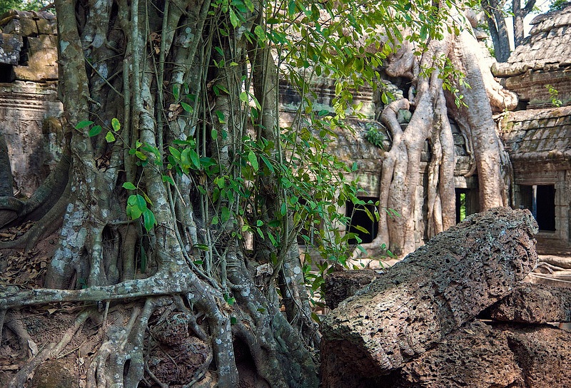 2012-04-Taprohm-0007-res