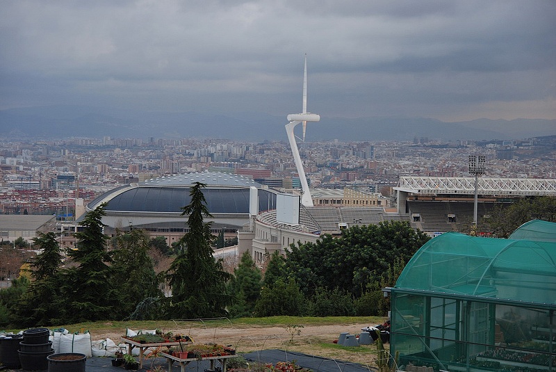 olympic-0003-res