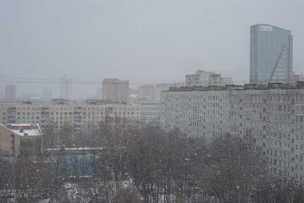 winter_0004_res by MariaMurashova