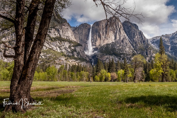 DSC_8997 - Yosemite National Park - Fredrick Shacklett Fine Art Photography  
