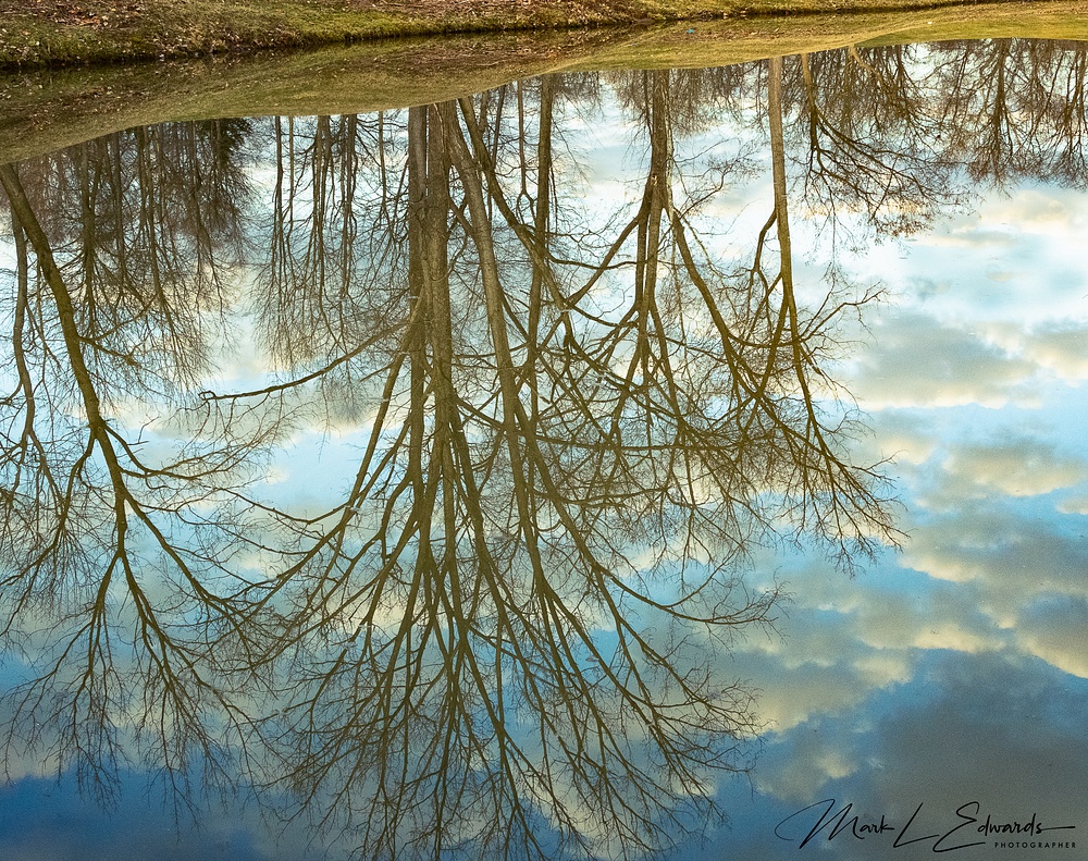 200322_D850_Spring Reflections After Sunrise