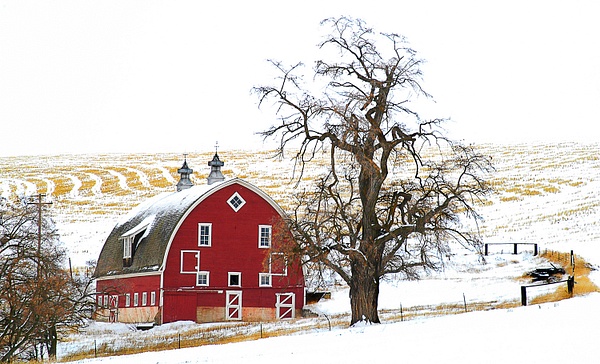 04051404 Winn Road Barn in Snow-2 - Home - Gary Hamburgh Photography