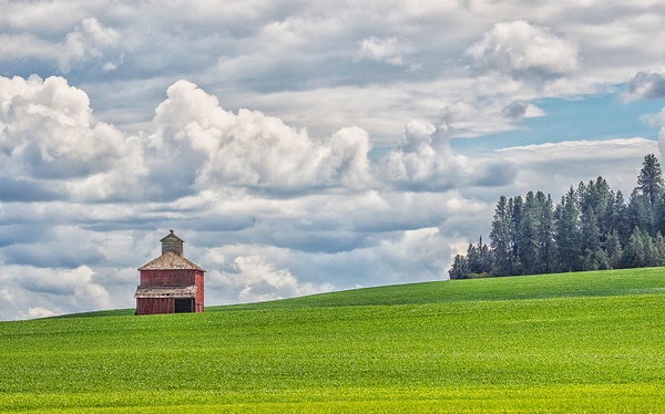_6010236-Small Red Barn with Cloudy Sky - Palouse - Gary Hamburgh Photography 