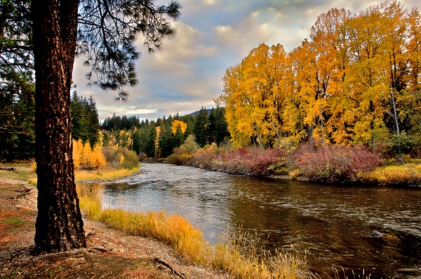 _GMH9156 River Flows Through Autumn Colors - Landscapes - Gary Hamburgh Photography