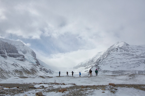 _MH_9369  Viewing the Athabasca Glacier - Landscapes - Gary Hamburgh Photography