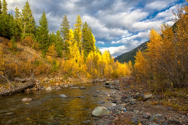 _MH_7928 Fall Afternoon along the Flathead River-Edit - Landscapes - Gary Hamburgh Photography 
