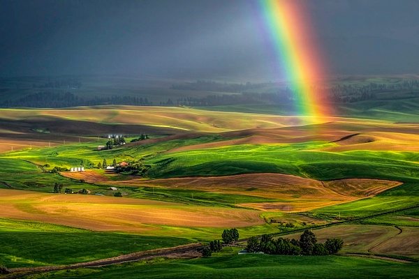 _6010515 Rainbow on the Palouse - Palouse - Gary Hamburgh Photography