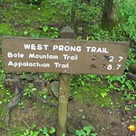 West Prong 7-9-2011