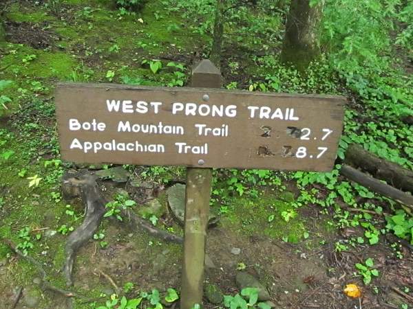 West_Prong_Trail_7-9-2011_001 by PatrickPj