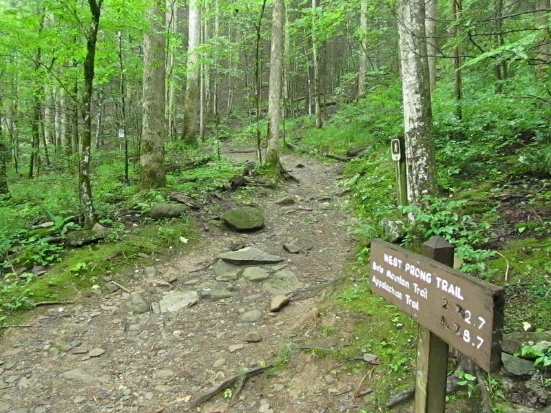 West_Prong_Trail_7-9-2011_002