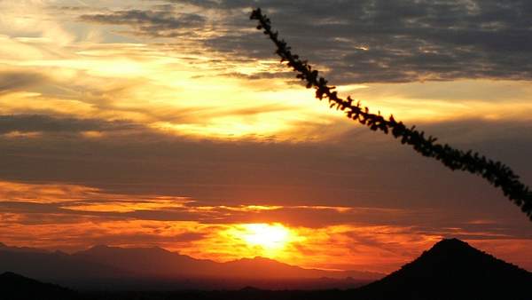 Arizona's Sunset