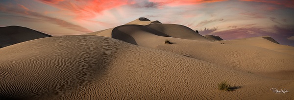 Richard Wade Photography 20210426 Qudra cycle track desert Pano 6-1