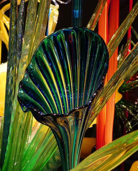 ChihulyMuseum by JamesMetzger
