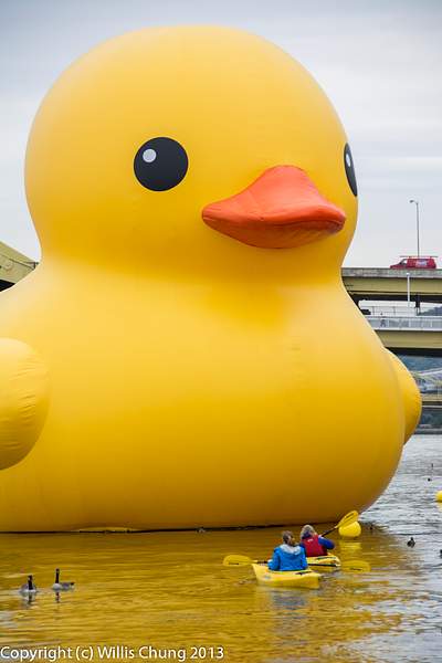 Giant Rubber Duck visiting Pittsburgh by Willis Chung