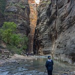 2015Oct Zion National Park, The Narrows