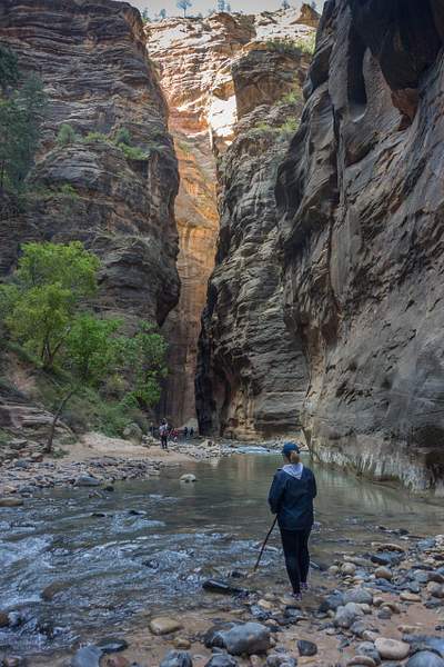 2015Oct Zion National Park, The Narrows by Willis Chung