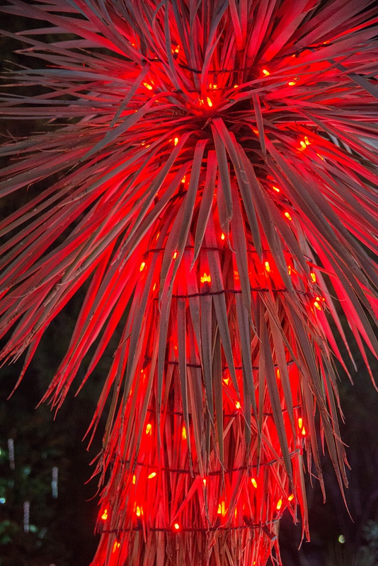 Glowing red palm