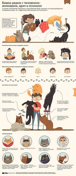 infografika_cats by znamensky