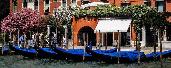 Venice by DavidWood