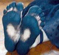 Dirty Feet # 29 by BrianFitzpatrick885