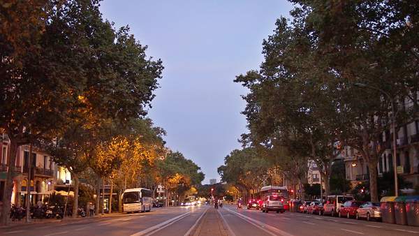Barcelona Sunset Street by Navygate